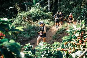 BIB: 
                            <button type="button" onclick="openModal(25854886)" class="btn btn-primary btn-sm float-right btn-popup" data-toggle="modal" data-target=".modal-high-quality">
                        <i class="fas fa-shopping-cart"></i> Add to Cart
                    </button>
                                            <button type="button" onclick="isThisMe(25854886, true)" class="btn btn-success btn-sm float-right btn-popup btn-isme hidden" data-toggle="tooltip" data-placement="bottom" title="นี่คือรูปของคุณใช่ไหม คลิกที่นี่เพื่อเอาเข้าอัลบั้ม">
                        <i class="fas fa-plus"></i> Add to album
                    </button>
                    <button type="button" onclick="isThisMe(25854886, false)" class="btn btn-warning btn-sm float-right btn-popup btn-isnotme hidden">
                        <i class="fas fa-ban"></i> Remove from album
                    </button>